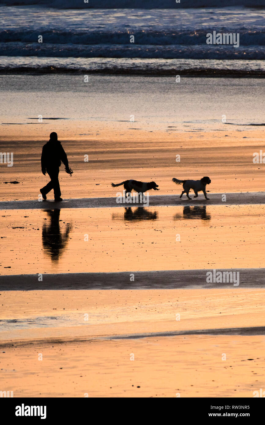 Ein Mann und seine zwei Hunde in Silhouette gehen über den Fistral Bech bei Sonnenuntergang in Newquay Cornwall gesehen. Stockfoto