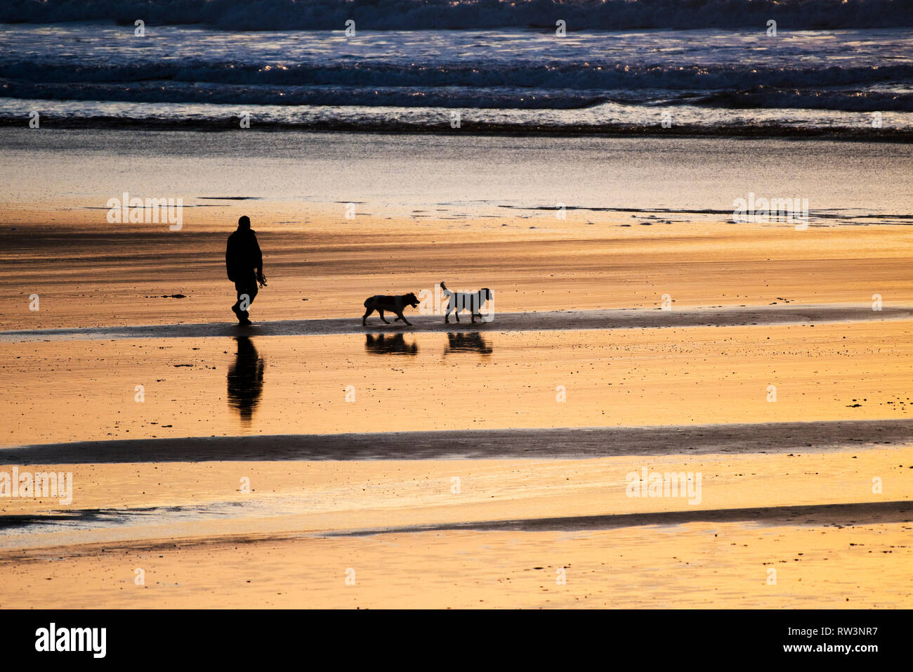 Ein Mann und seine zwei Hunde in Silhouette gehen über den Fistral Bech bei Sonnenuntergang in Newquay Cornwall gesehen. Stockfoto