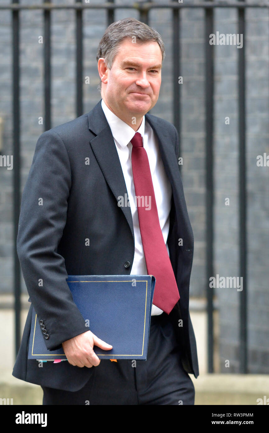 David Gauke MP, Herr Bundeskanzler und Staatssekretärin für Justiz, Downing Street kurz vor dem Budget, 29. Oktober 2018 Stockfoto