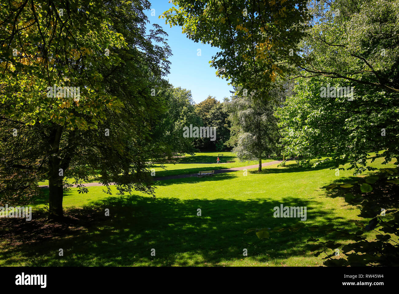 Essen, Nordrhein-Westfalen, Ruhrgebiet, Deutschland, Park auf Moltkestrasse in Moltkeviertel, fotografiert anlässlich der Essener 2017 Grüne Kopf Stockfoto