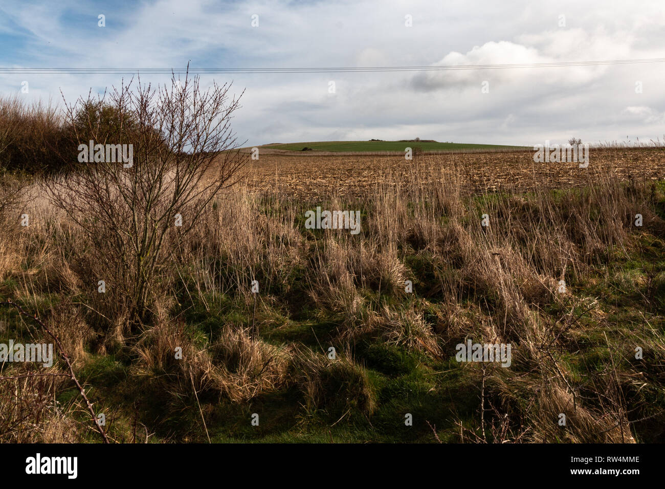 Blick über Harrow Hill, Patching, West Sussex Stockfoto