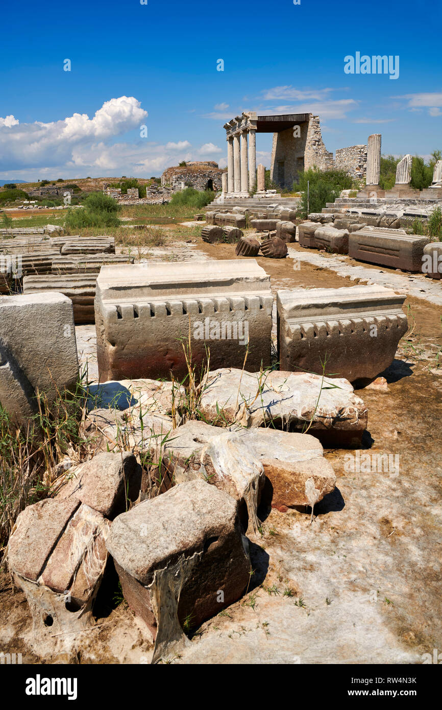 Die römische Ionische Stoa bildet eine Kolonnade 99 m lang und 9 m hoch zu Beginn der Heilige Weg zu Didyma. Eine Ionische portica im Zentrum, die serviert. Stockfoto