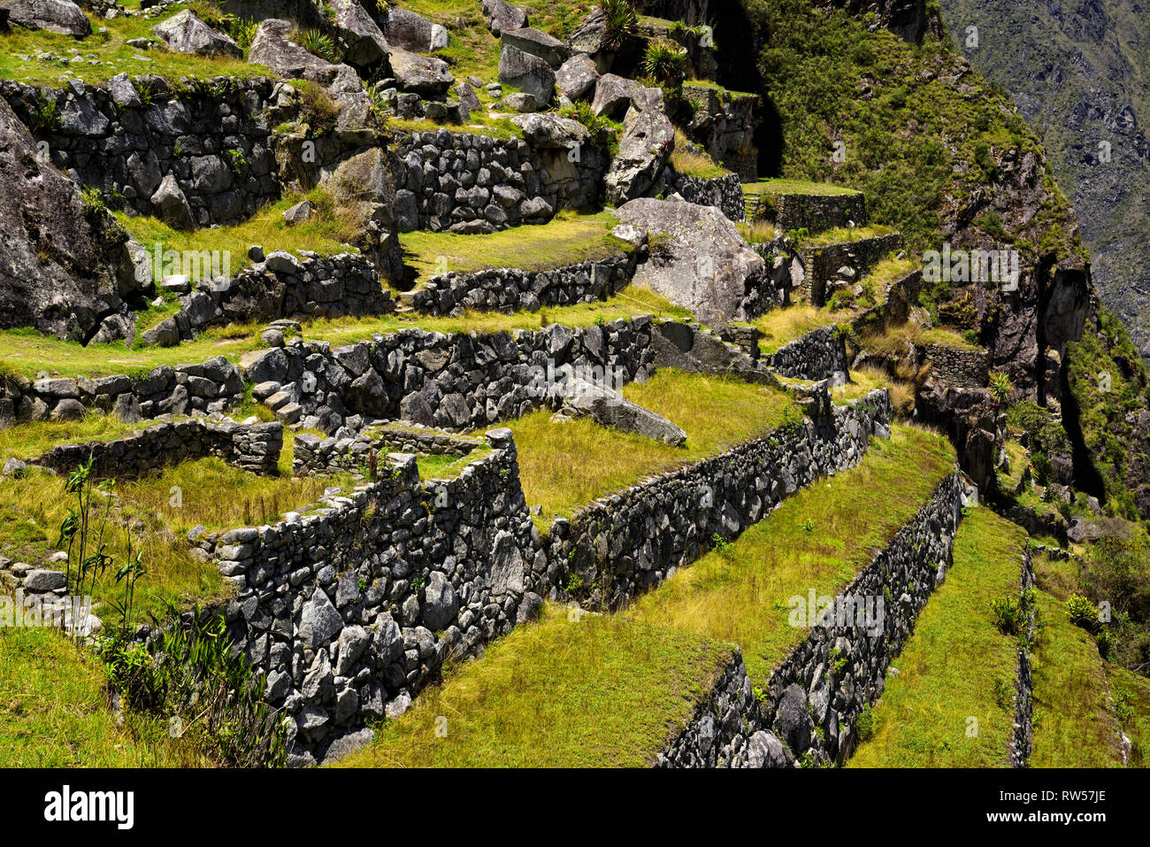 Terrassen von Machu Picchu in der Nähe von Cusco, Peru. Machu Picchu ist eine peruanische historische Heiligtum. Stockfoto