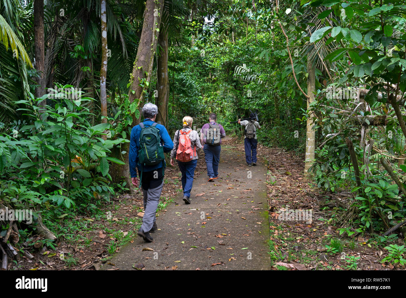 Touristen mit Führung im La Seva biologische Station, tropischen Regenwald, Sarapiqui, Costa Rica, Mittelamerika Stockfoto