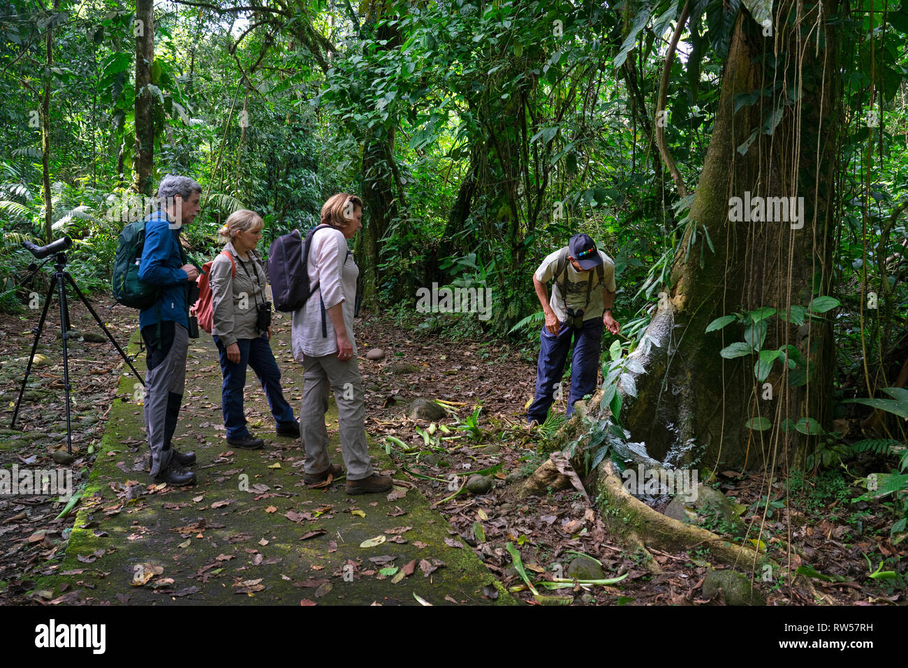 Touristen mit Führung im La Seva biologische Station, tropischen Regenwald, Sarapiqui, Costa Rica, Mittelamerika Stockfoto
