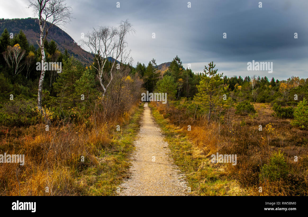 Kleine Weg durch das Moor mit Herbst Farbe Bäume und Wiese Stockfoto