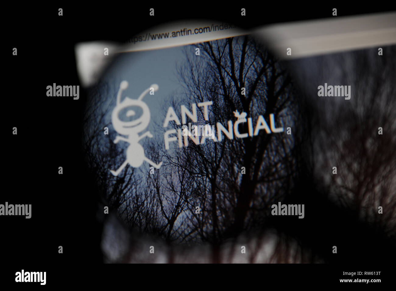 Die Ant finanzielle Website durch ein Vergrößerungsglas gesehen Stockfoto