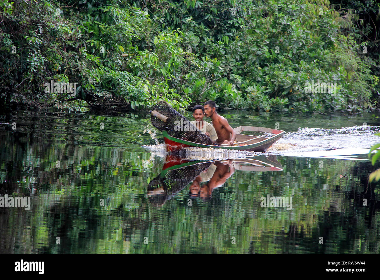 Taman Nasional Berbak Jambi Stockfoto