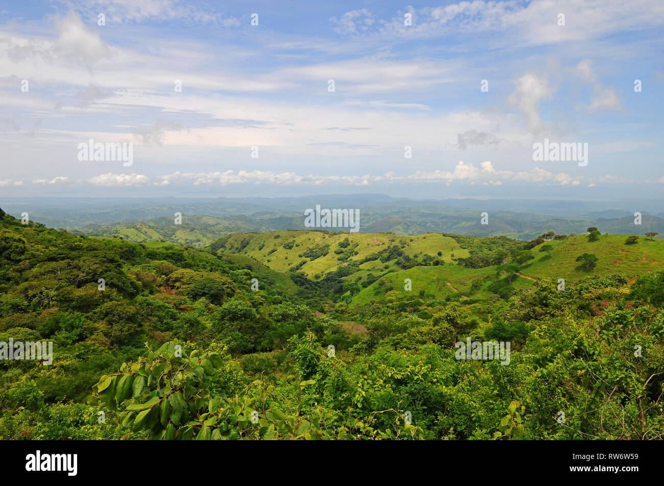 Landschaft der Nebelwald von Monteverde Nationalpark in der Nähe der Stadt San Jose, Costa Rica, Mittelamerika. Stockfoto