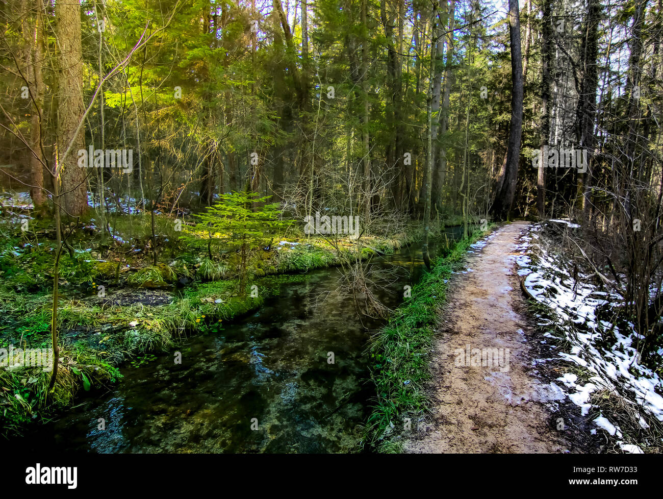 Pfad entlang des Flusses in Mystic Forest, Saison ändern Winter zu Frühling Stockfoto