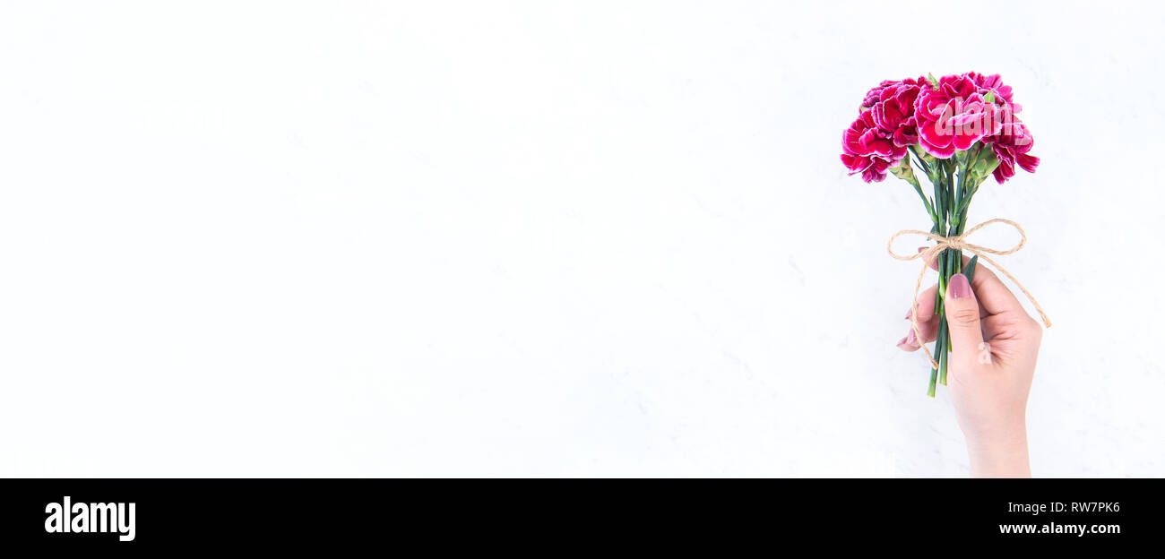 Mai Tag Idee Mütter Konzept Fotografie - schönen blühenden Nelken von Seil Bug bestand in der Frau die Hand auf helle, moderne Tabelle isoliert gebunden, cop Stockfoto