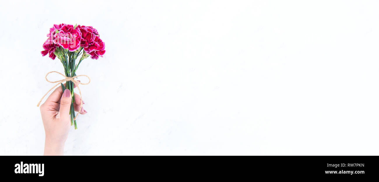Mai Tag Idee Mütter Konzept Fotografie - schönen blühenden Nelken von Seil Bug bestand in der Frau die Hand auf helle, moderne Tabelle isoliert gebunden, cop Stockfoto
