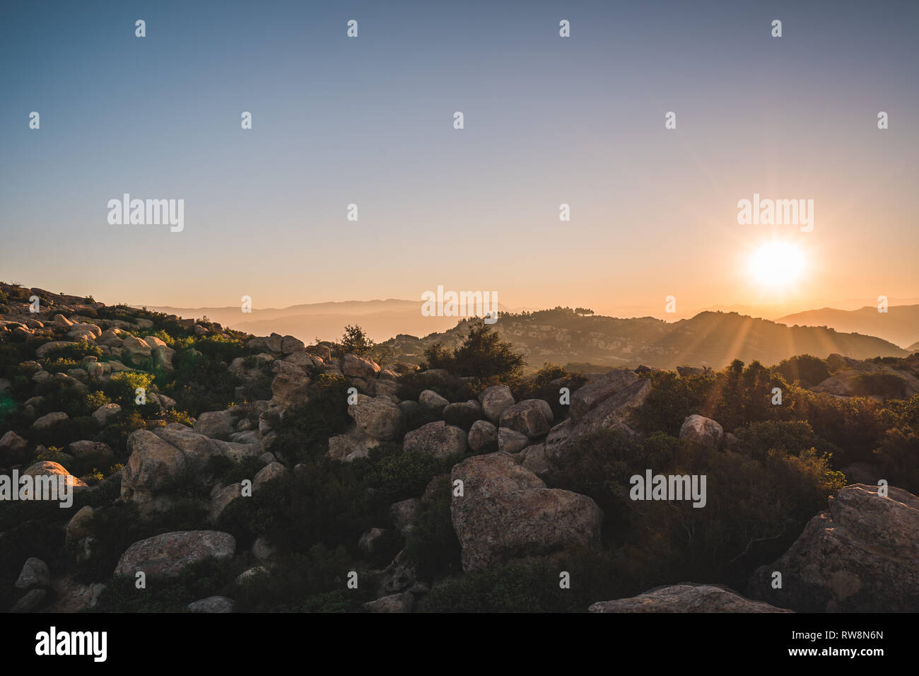 Die Eidechse Mund Stockfoto