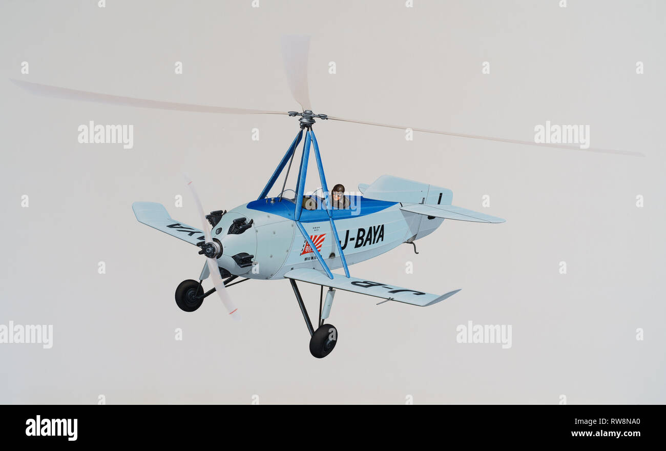 Flugzeug-Abbildung Stockfoto