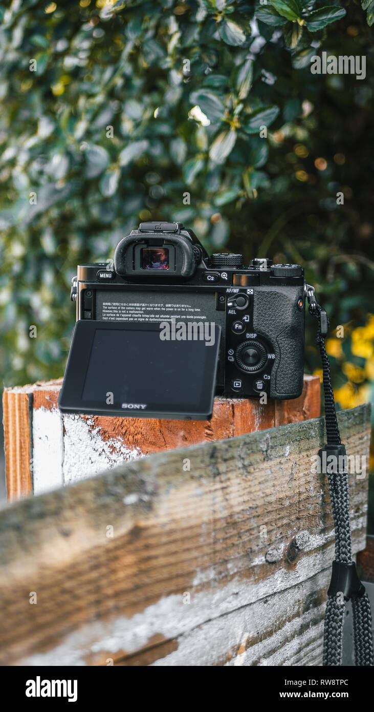 Sony A7 Full Frame spiegellosen Kamera Stockfoto