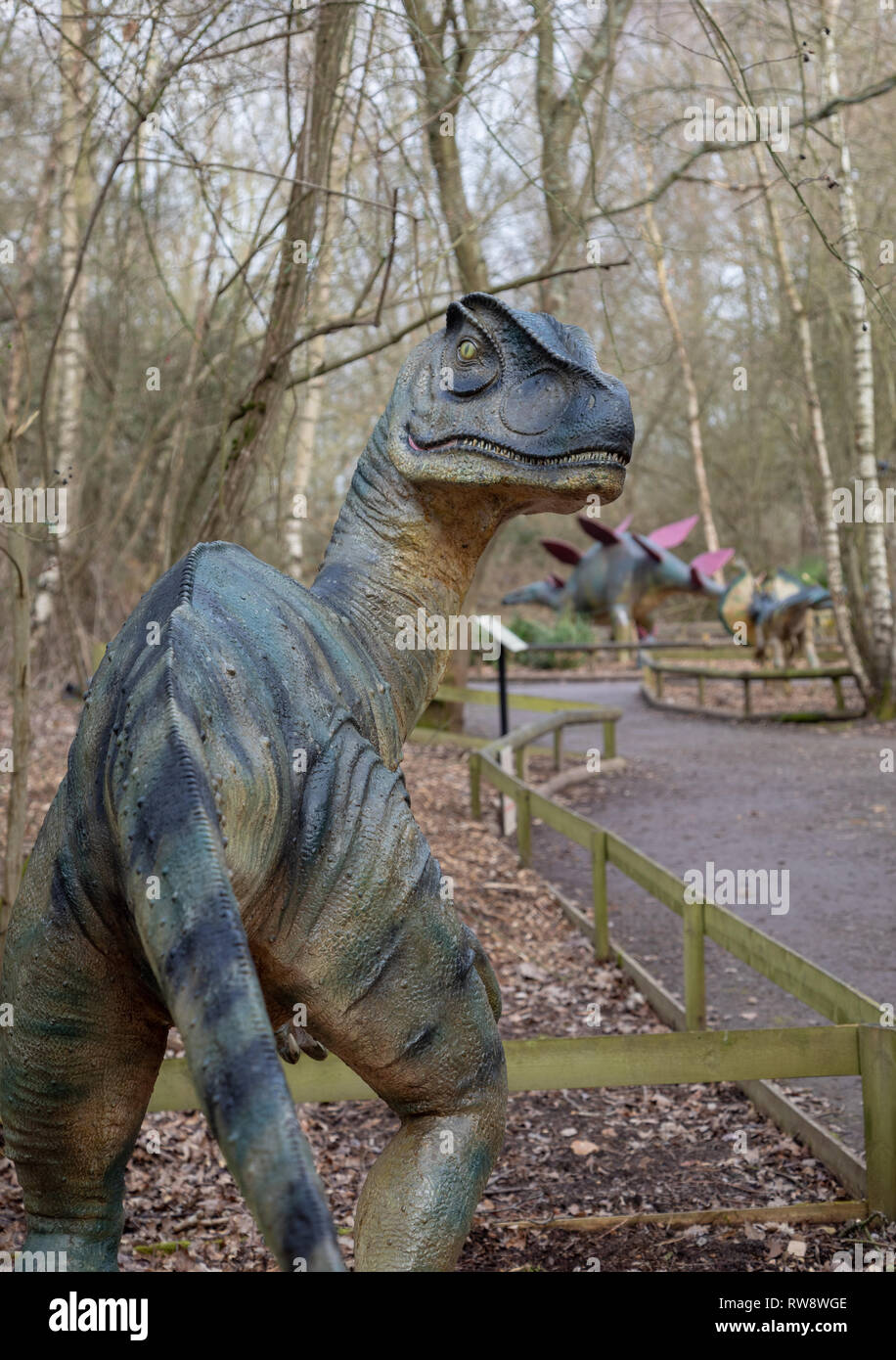Wellington Country Park, Berkshire in der Nähe von Hook, Heckfield, Rotherwick Stockfoto