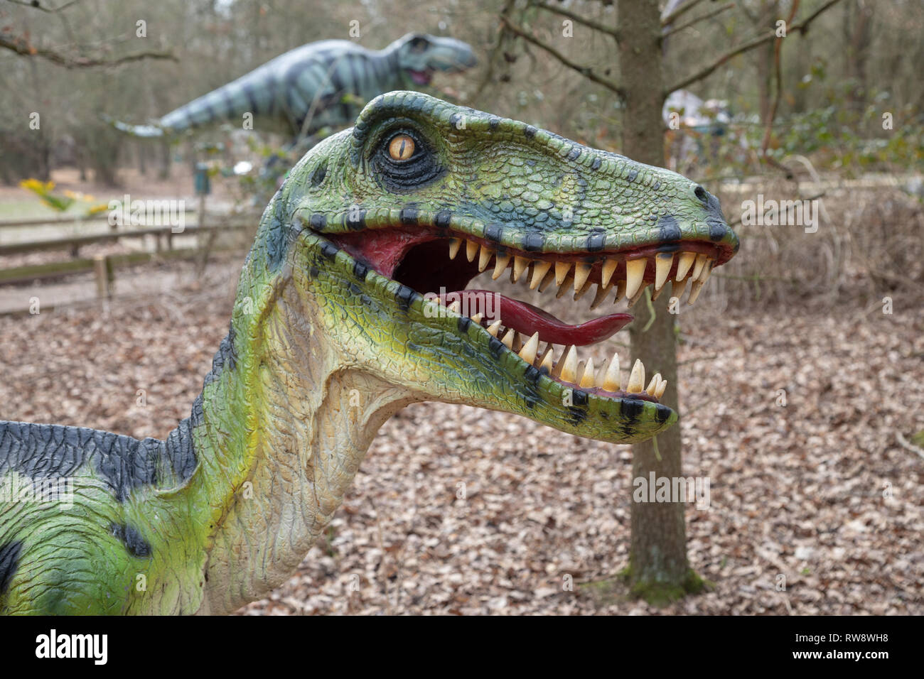 Wellington Country Park, Berkshire in der Nähe von Hook, Heckfield, Rotherwick Stockfoto