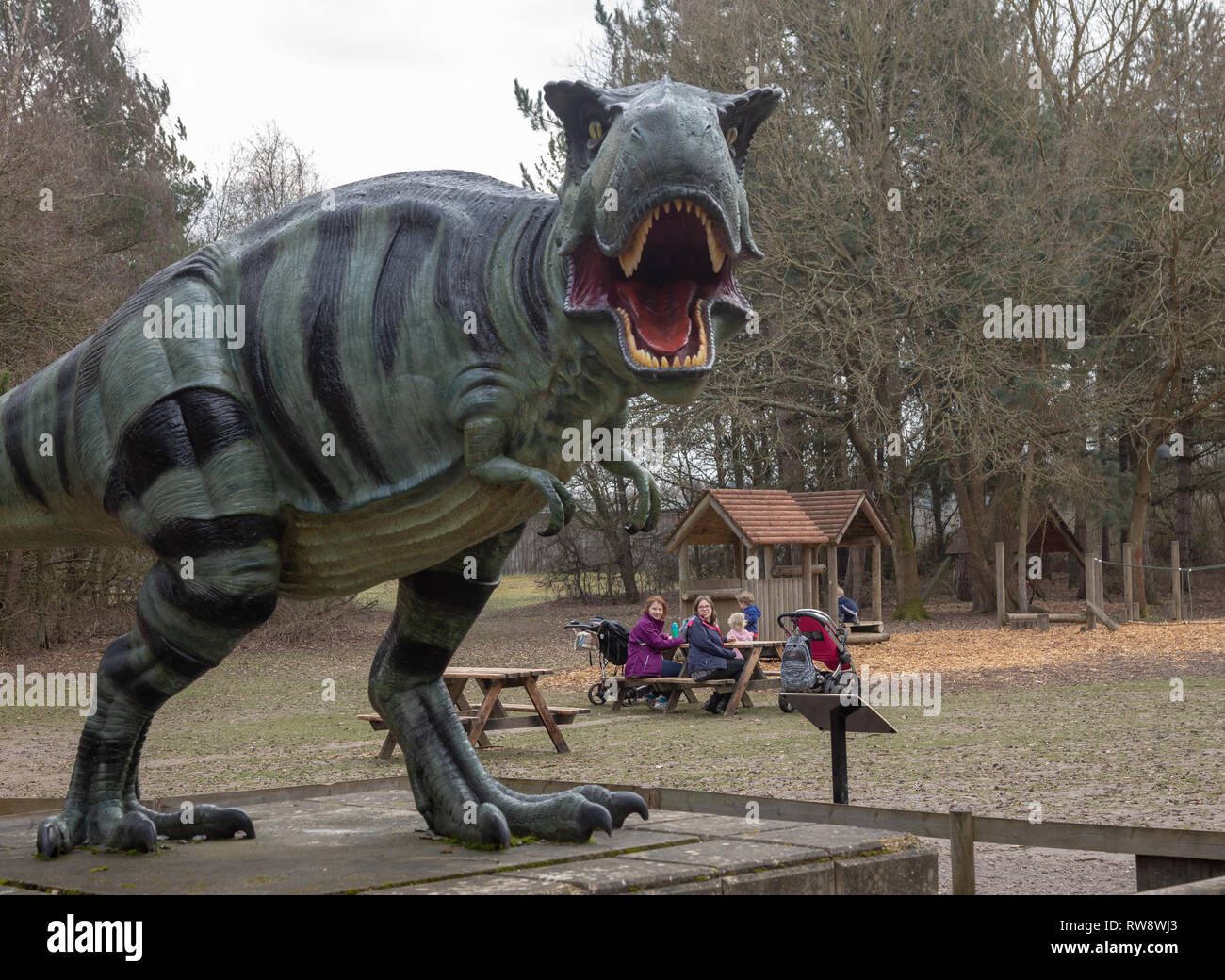 Wellington Country Park, Berkshire in der Nähe von Hook, Heckfield, Rotherwick Stockfoto