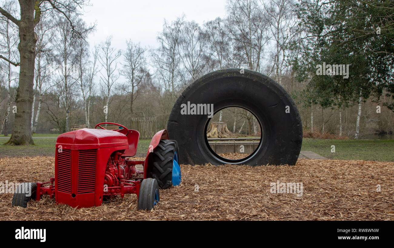 Wellington Country Park, Berkshire in der Nähe von Hook, Heckfield, Rotherwick Stockfoto