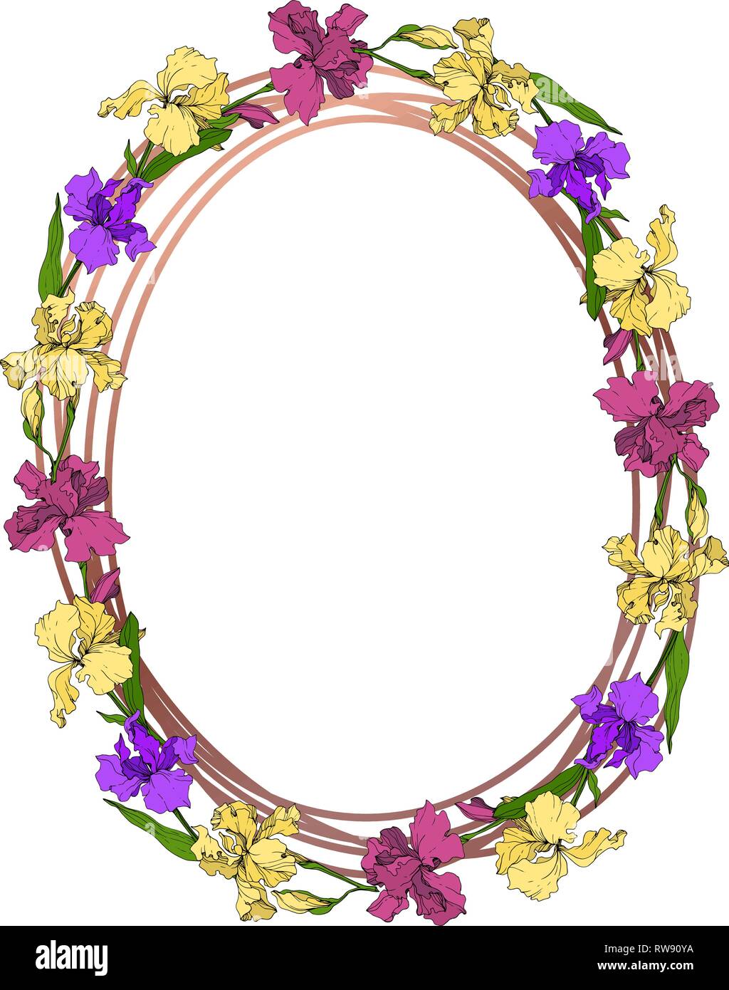 Vektor lila, gelb und braun Iris Blumen botanischen Blume. Wild Federblatt wildflower isoliert. Graviert Tinte Art Rand ornament Quadrat. Stock Vektor