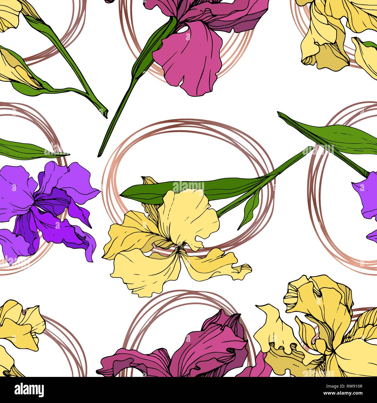 Vector Gelb, Violett und Braun Iris Blumen botanischen Blume. Wild Federblatt wildflower isoliert. Graviert Tinte Art nahtlose Muster. Fa Stock Vektor