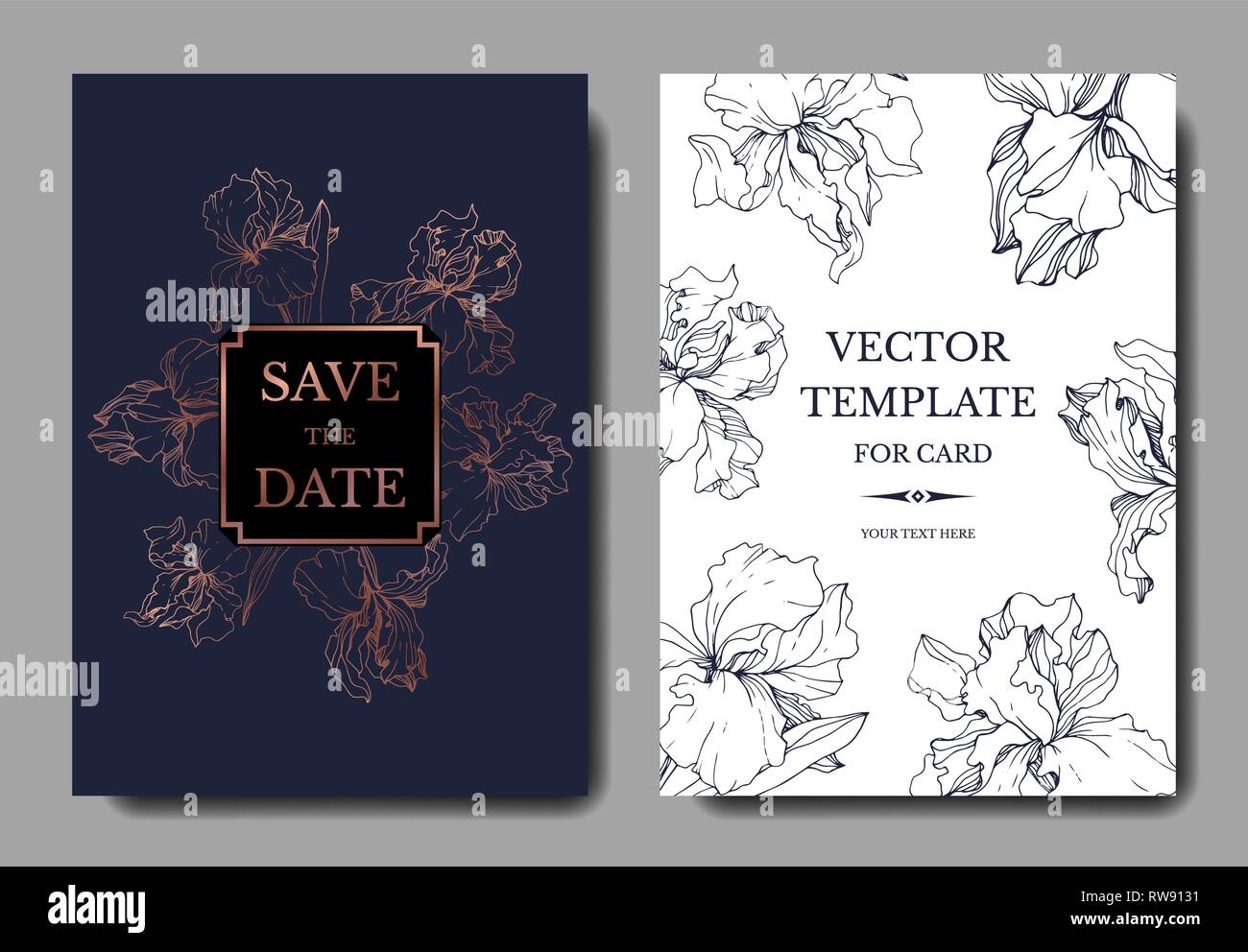 Vektor Iris Blumen botanischen Blume. Wild Federblatt wildflower isoliert. Graviert Tinte Art Hochzeit hintergrund Karte Blumen dekorativ Grenze. Elegante Stock Vektor