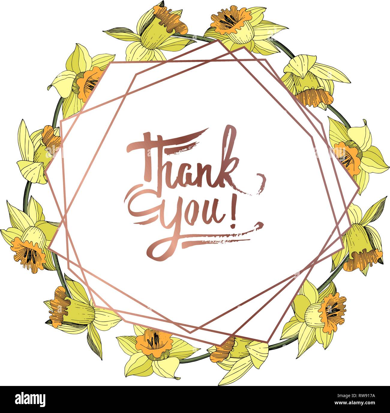 Vektor Gelbe Narzissen Blumen botanischen Blume. Wild Federblatt wildflower isoliert. Graviert Tinte Art Rand ornament Quadrat. Stock Vektor