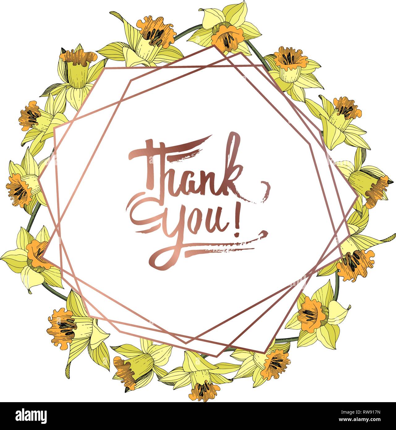 Vektor Gelbe Narzissen Blumen botanischen Blume. Wild Federblatt wildflower isoliert. Graviert Tinte Art Rand ornament Quadrat. Stock Vektor