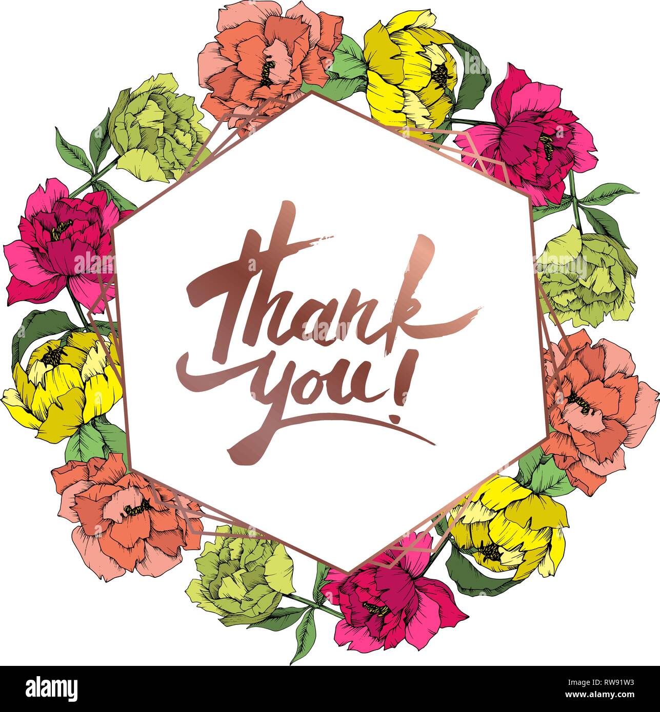 Vektor Pfingstrose botanische Blumen Blume. Wild Federblatt wildflower isoliert. Graviert Tinte Art Rand ornament Quadrat. Stock Vektor