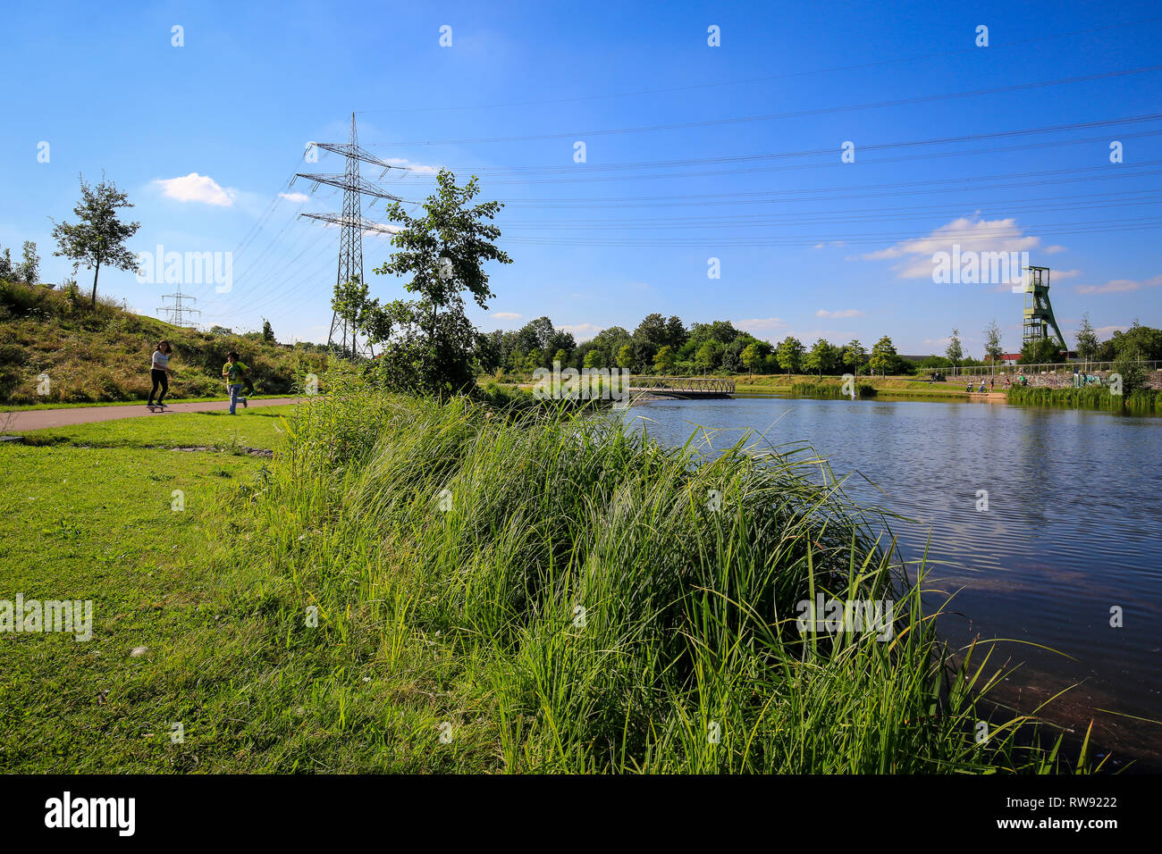 Essen, Nordrhein-Westfalen, Ruhrgebiet, Deutschland, Krupp-Park, Stadtentwicklung Projekt Krupp-Guertel in der westlichen Viertel der Stadt Essen, er Stockfoto