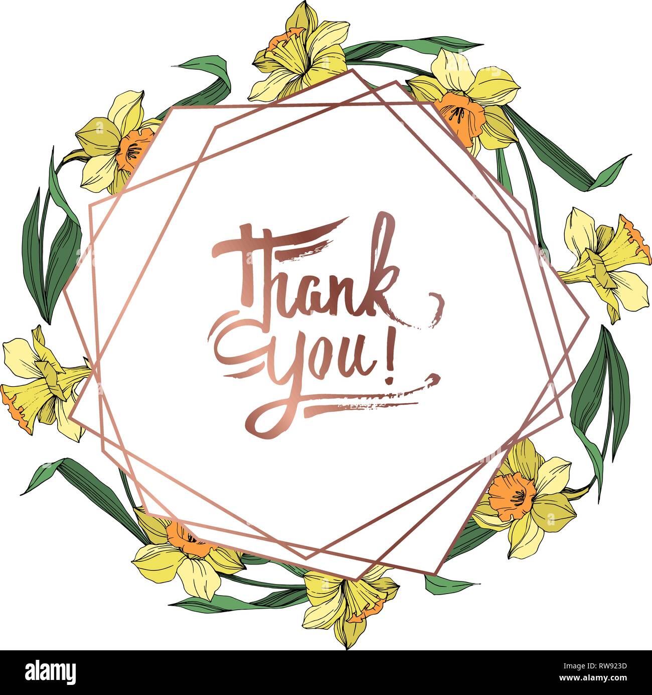 Vektor Gelbe Narzissen Blumen botanischen Blume. Wild Federblatt wildflower isoliert. Graviert Tinte Art Rand ornament Quadrat. Stock Vektor