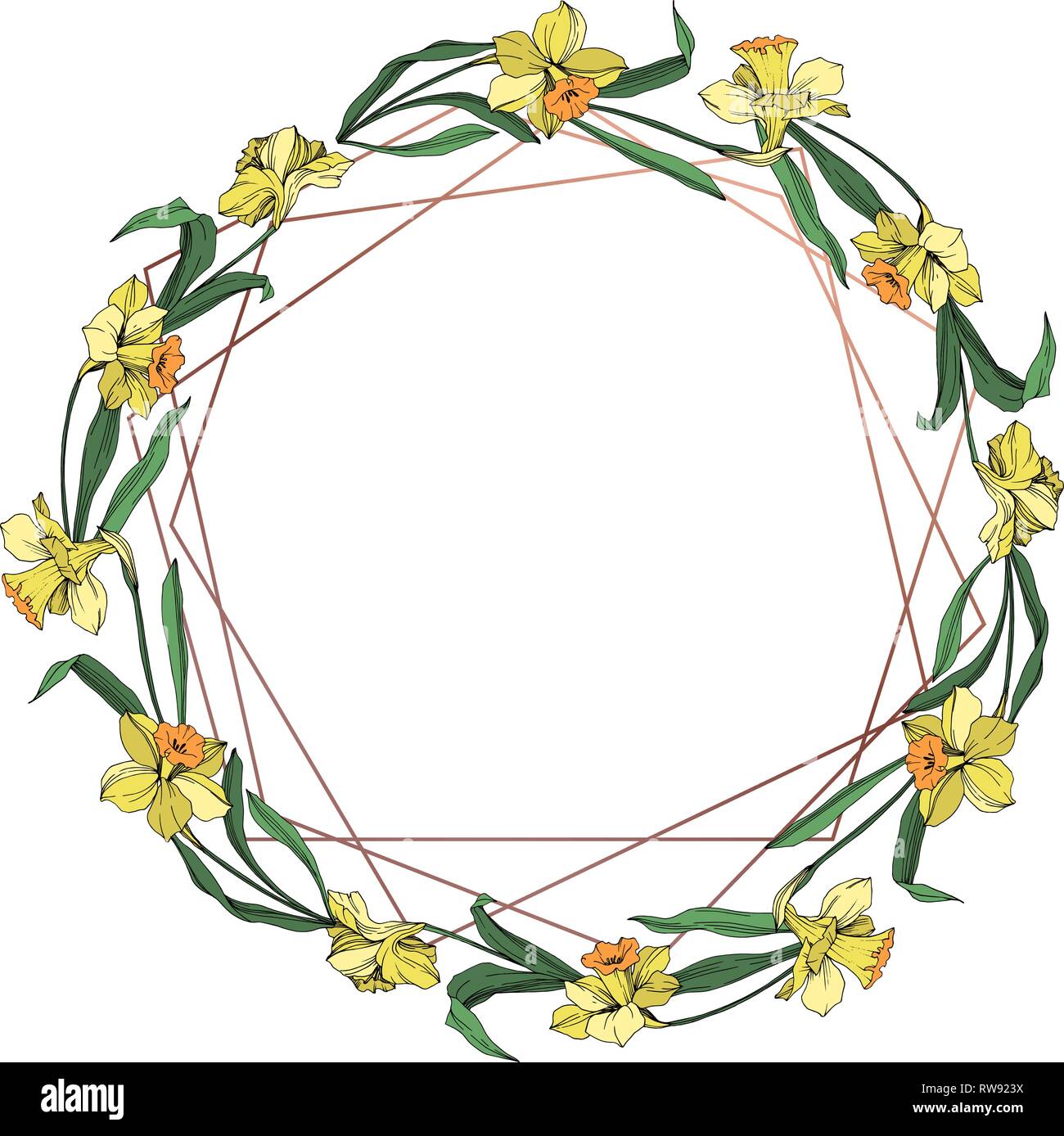 Vektor Gelbe Narzissen Blumen botanischen Blume. Wild Federblatt wildflower isoliert. Graviert Tinte Art Rand ornament Quadrat. Stock Vektor