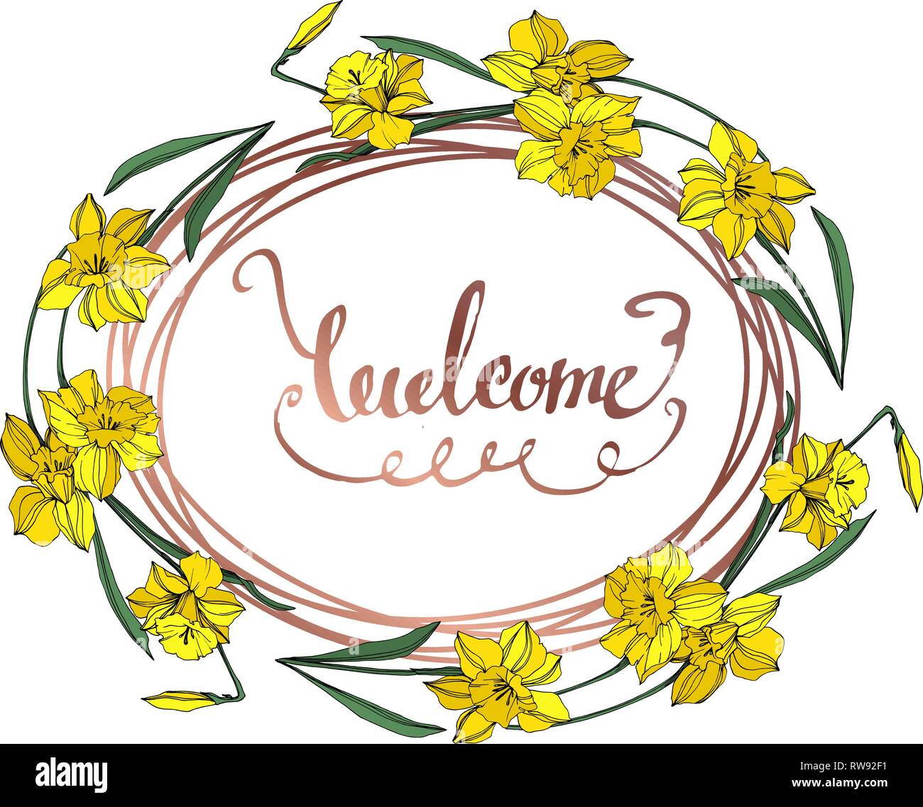 Vektor Gelbe Narzissen Blumen botanischen Blume. Wild Federblatt wildflower isoliert. Graviert Tinte Art Rand ornament Quadrat. Stock Vektor