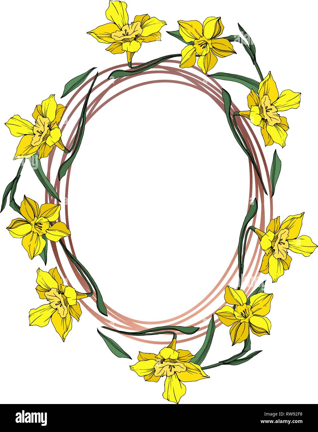 Vektor Gelbe Narzissen Blumen botanischen Blume. Wild Federblatt wildflower isoliert. Graviert Tinte Art Rand ornament Quadrat. Stock Vektor