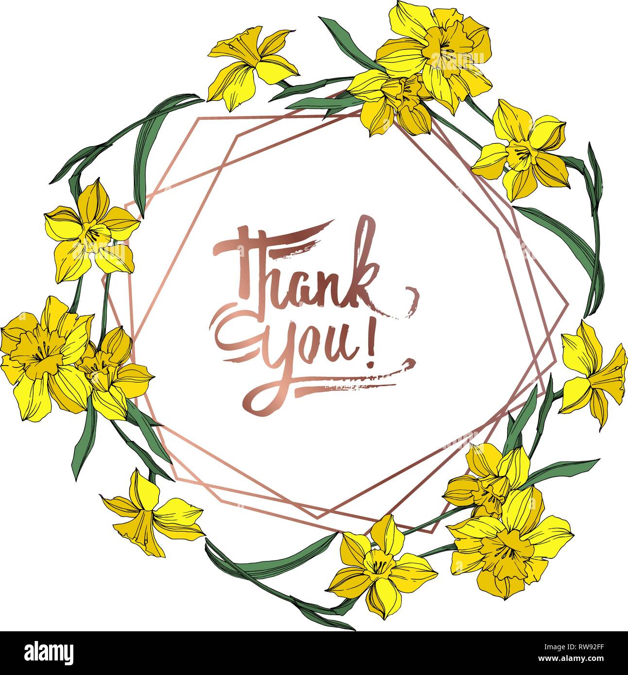 Vektor Gelbe Narzissen Blumen botanischen Blume. Wild Federblatt wildflower isoliert. Graviert Tinte Art Rand ornament Quadrat. Stock Vektor