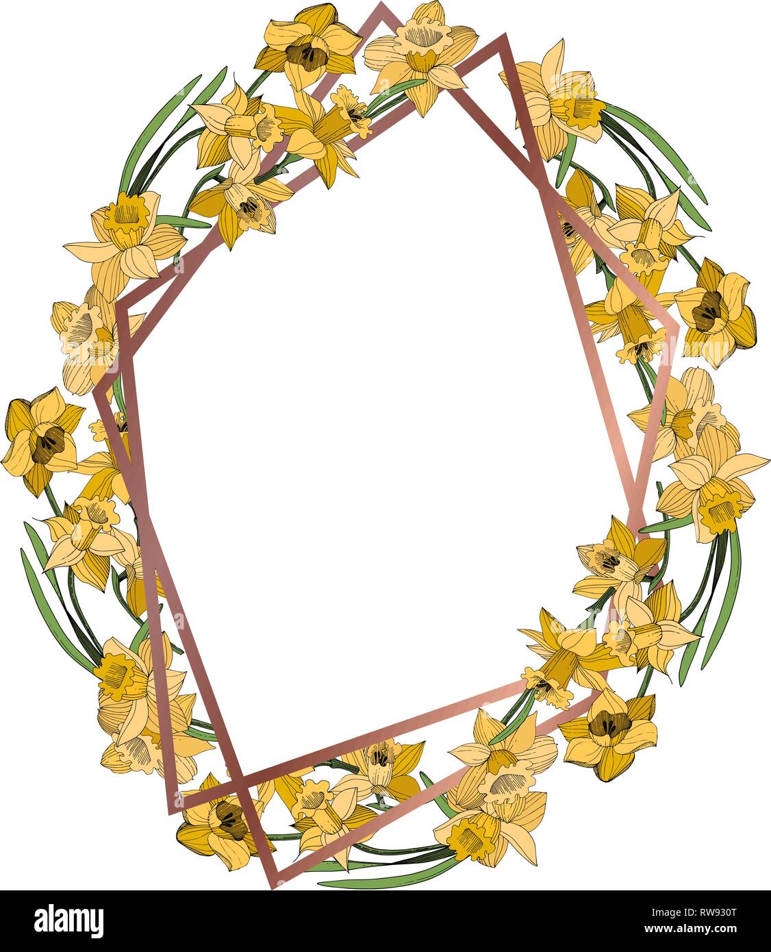 Vektor Gelbe Narzissen Blumen botanischen Blume. Wild Federblatt wildflower isoliert. Egraved Tinte Art Rand ornament Quadrat. Stock Vektor
