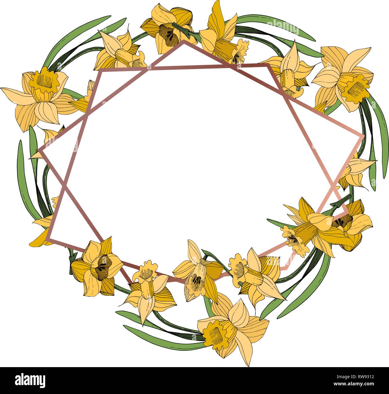 Vektor Gelbe Narzissen Blumen botanischen Blume. Wild Federblatt wildflower isoliert. Egraved Tinte Art Rand ornament Quadrat. Stock Vektor