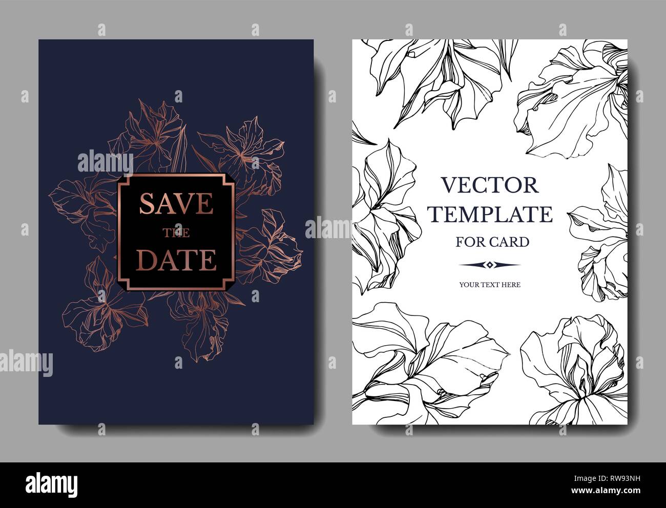 Karten mit Vektor Iris Stock Vektor