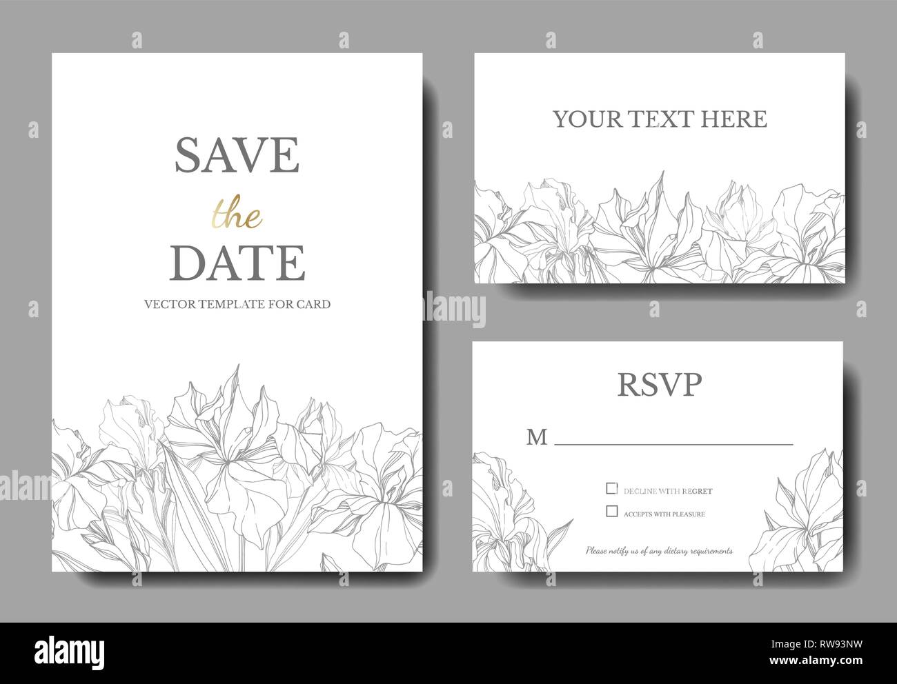 Karten mit Vektor Iris Stock Vektor