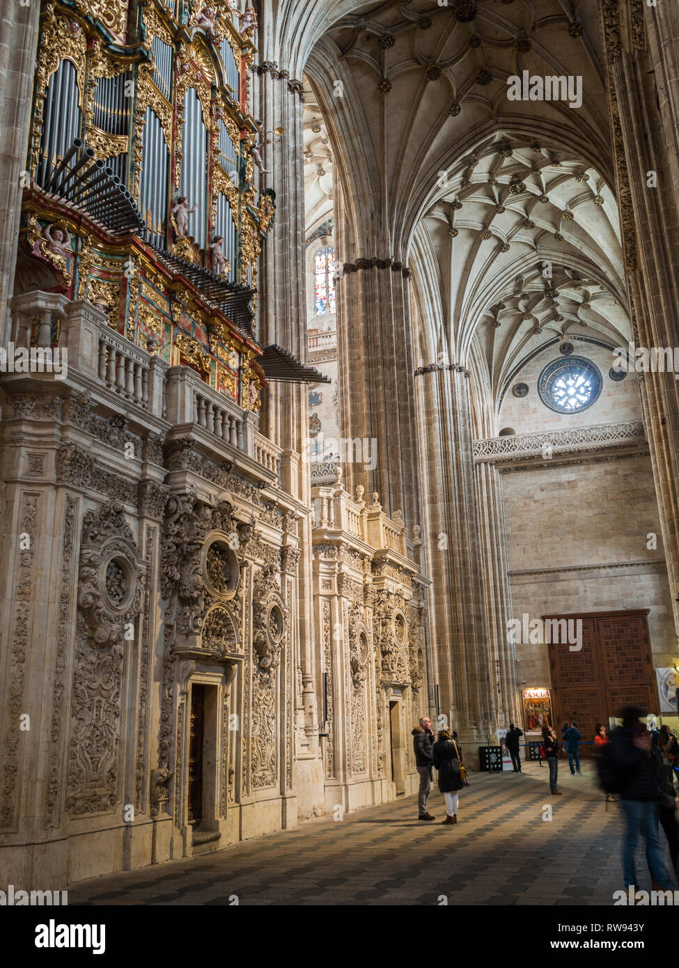 Pfeifenorgel und Steinmauern des Ganges der Salamanca Neuen Kathedrale Stockfoto