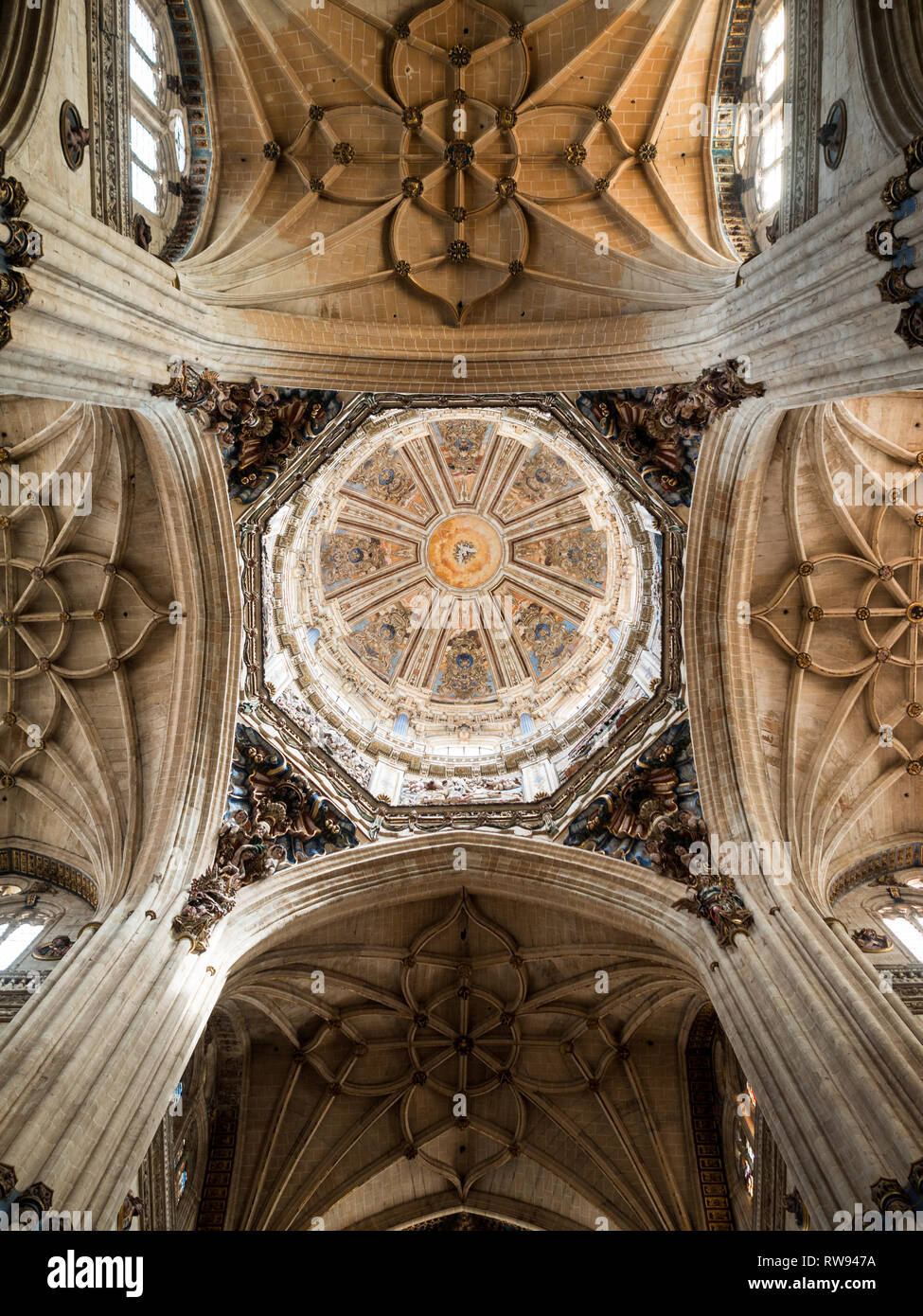 Der Kathedrale von Salamanca Kuppel innen Stockfoto