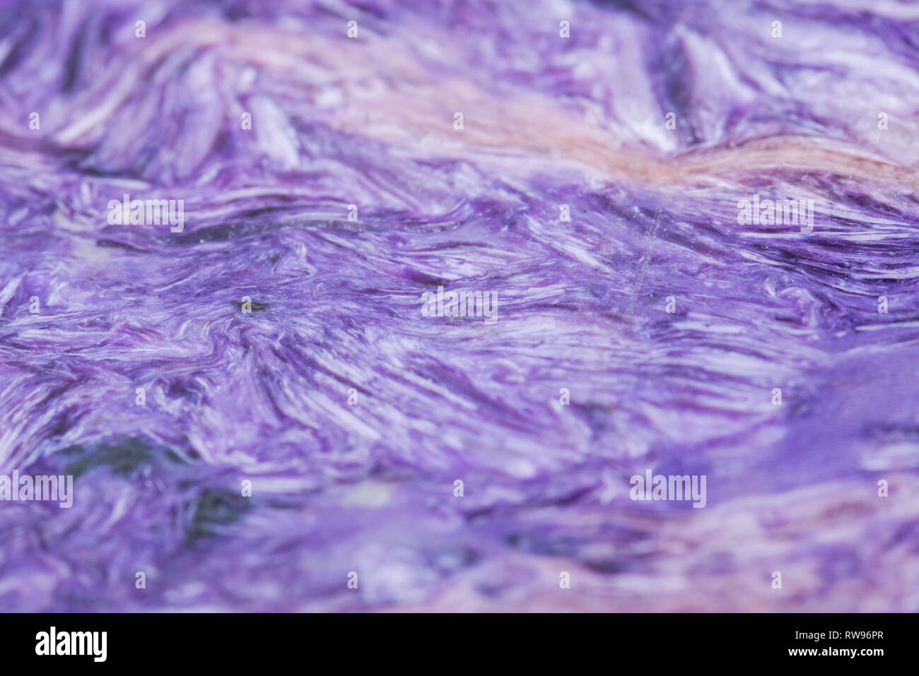 Top Grade Charoite polierte Platte aus der Republik Sacha, Sibirien, Russland wie Kunst, Hintergrund, Textur. Charoite Jade. Stockfoto