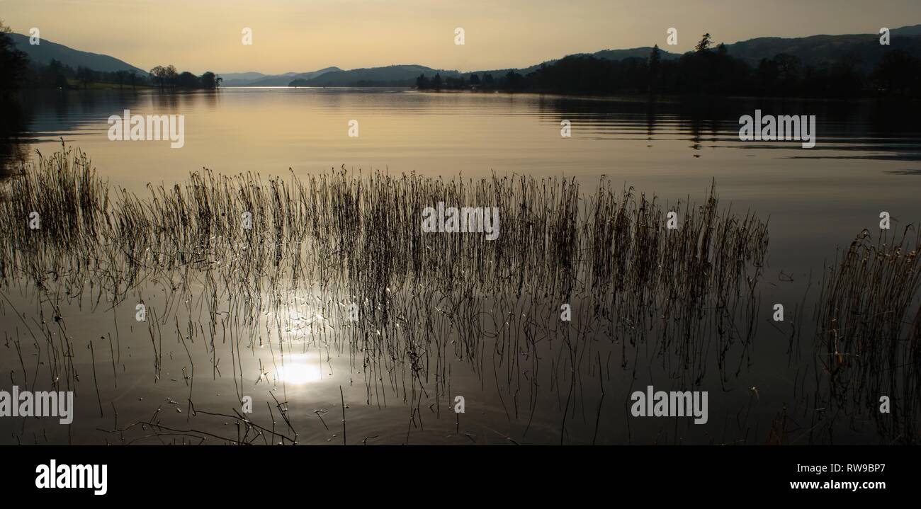 Sie suchen die Länge der Coniston Water aus dem nördlichen Ufer mit niedrigen am späten Nachmittag winter Sonnenschein Stockfoto