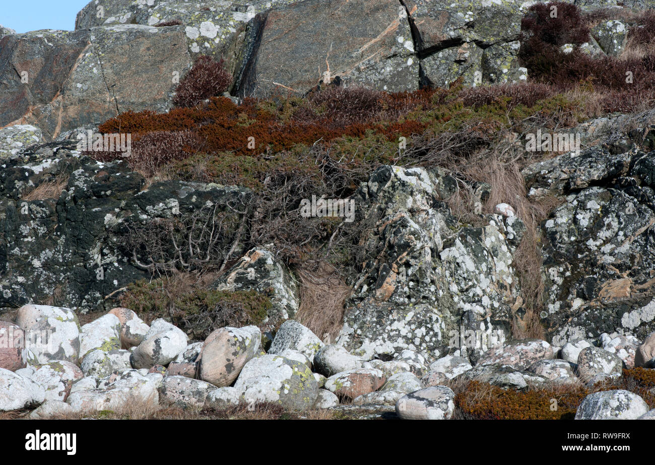Schweden - Rock, Stein, Natur, Substanz, solide, Aggregieren, Mineral, s, mineraloids, Quarz, Feldspat, Stockfoto