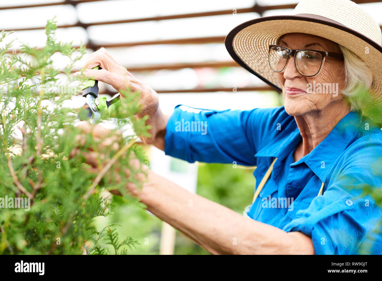 Lächelnd Senior Frau Pflege für Pflanzen Stockfoto