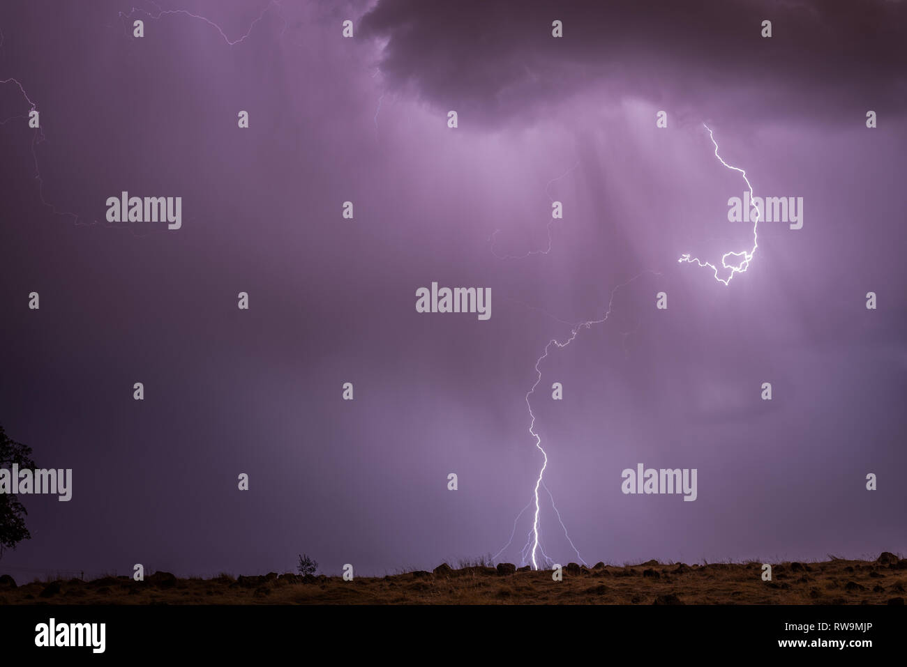 Ein Nahbereich cloud-to-Ground Blitzeinschlag in Placer County, Nordkalifornien, Ende in einer Sommernacht. Stockfoto