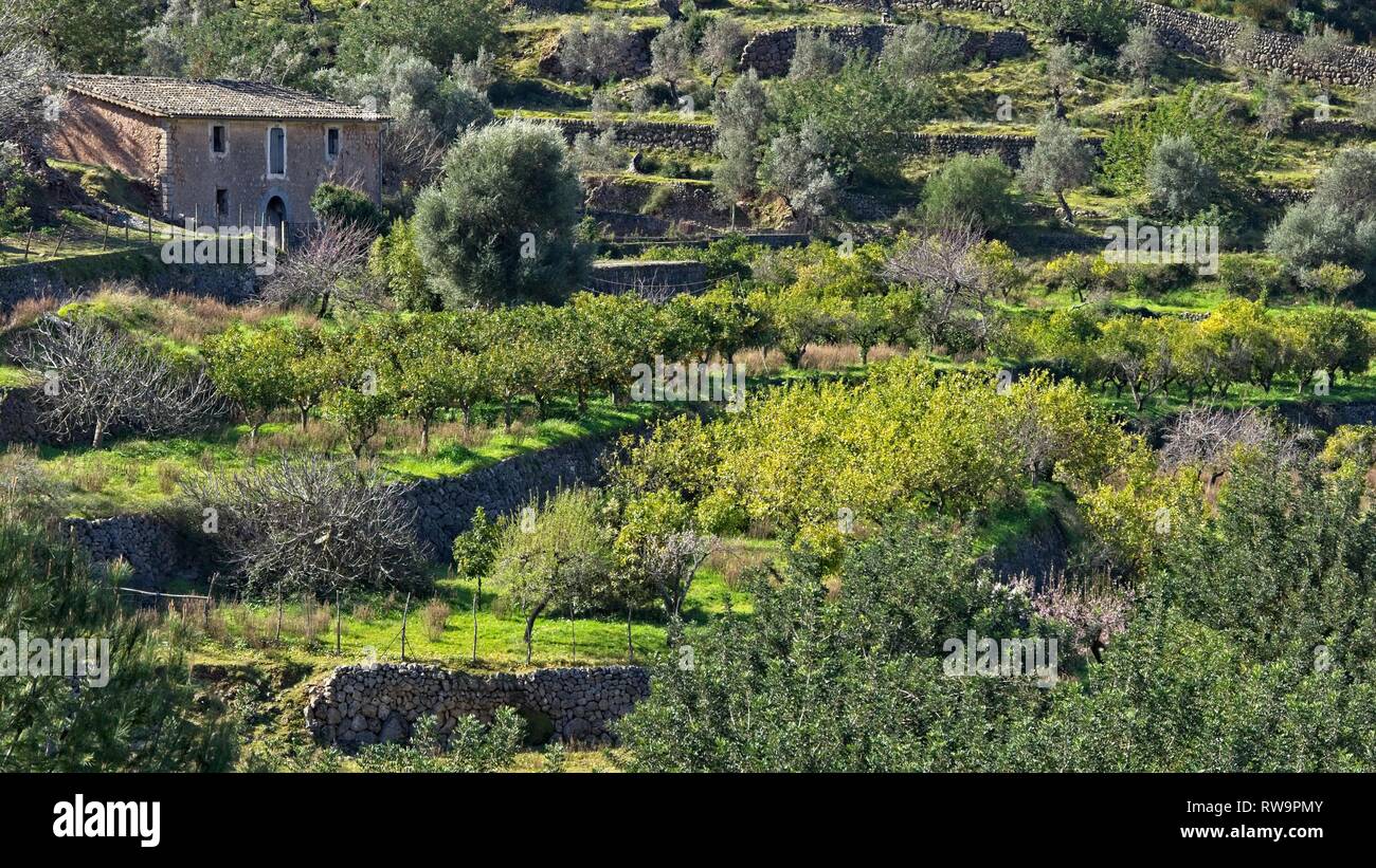 Country House in der Serra de Tramuntana, Weltkulturerbe, Biniaraitx, Soller, Mallorca, Spanien Stockfoto
