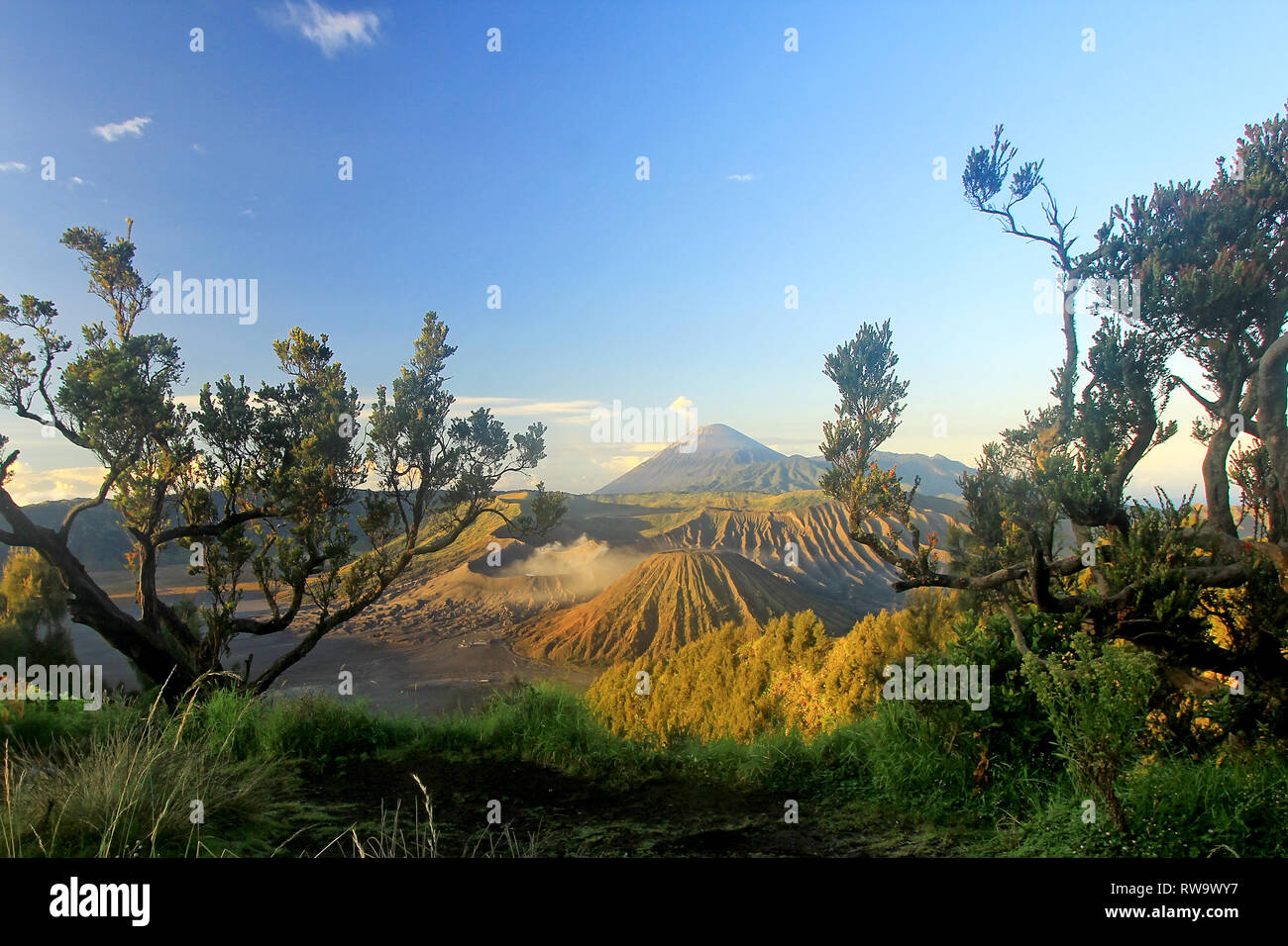 Keindahan gunung Bromo dan Semeru dilihat Dari Pananjakan Stockfoto