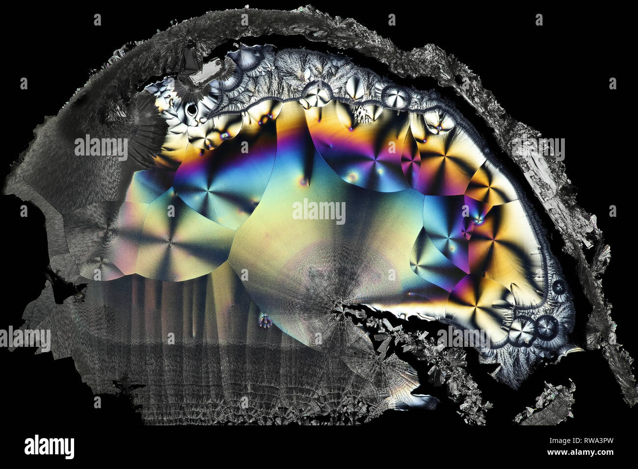 Anatomie der künstlichen Intelligenz. Dies ist Ascorbinsäure, bekannt als Vitamin C, in kristallisierter Form fotografiert bekannt. Stockfoto