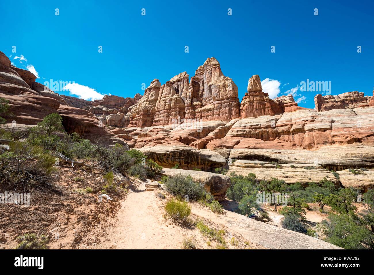 Canyon, Felsnadeln, rock Plateau, Felsformationen, die Needles District, Canyonlands National Park, Utah, USA Stockfoto